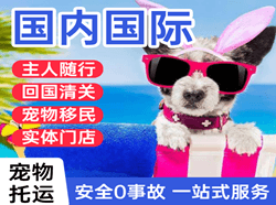 大连周水子航空物流国际宠物托运 【国